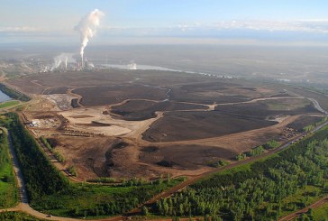 Dandelions found in oilsands tailings could help clean them up: researchers