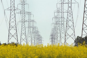 Heat wave causes power demand to surge to near-winter levels in Alberta