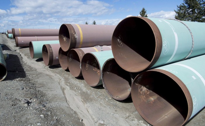 Construction firms fear gridlock as Ottawa delays decision on Trans Mountain pipeline