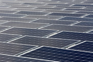 Global renewable energy capacity to rise by 50% in five years as solar panels go mainstream: IEA