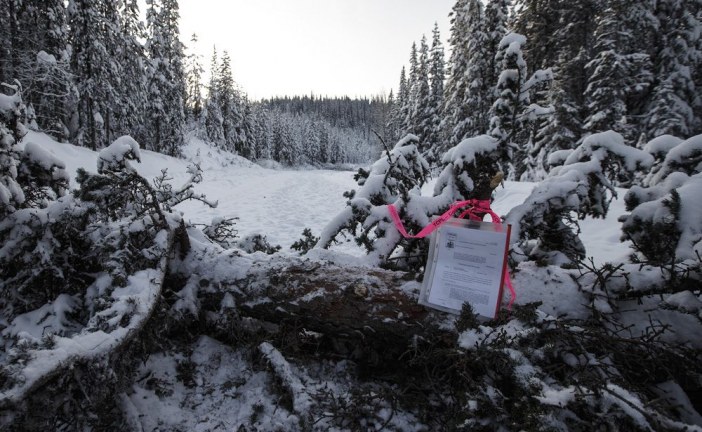 TC Energy delivers food, water to work camp as B.C. court hears case for protesters