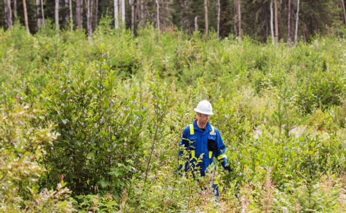 Oil Sands Reclamation in Canada: The Facts – Canada Action