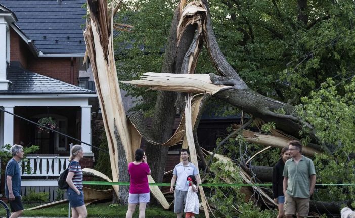 Storm leaves at least nine dead, many powerless