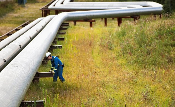 14 months later, Alberta energy sector still waiting for ruling on ‘No More Pipelines’ Act