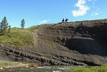 Company launches $3.4-billion lawsuit against province over coal mining ban