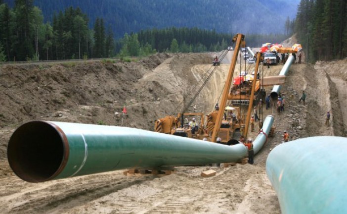 Energy regulator to unveil details of new Trans Mountain hearings to define final route